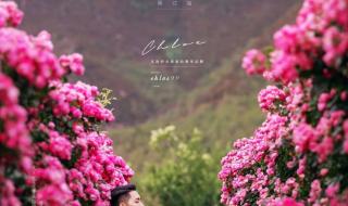 爱情是从告白开始的14集在车站吵架的背景音乐 恋爱从告白开始全集